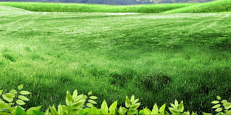 春季促销psd分层H5背景psd设计背景_新图网 https://ixintu.com H5背景 促销 春天 春季 春季促销 春季促销素材 春季购物 清新 绿色