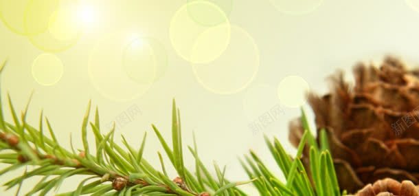 植物梦幻背景jpg设计背景_新图网 https://ixintu.com 树枝 梦幻背景 植物 阳光