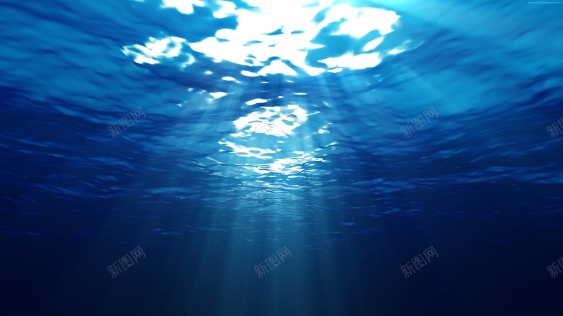 透射进阳光的水下风光背景jpg设计背景_新图网 https://ixintu.com PPT 光束 文艺 水下 浪漫 简约 透射 阳光 风光