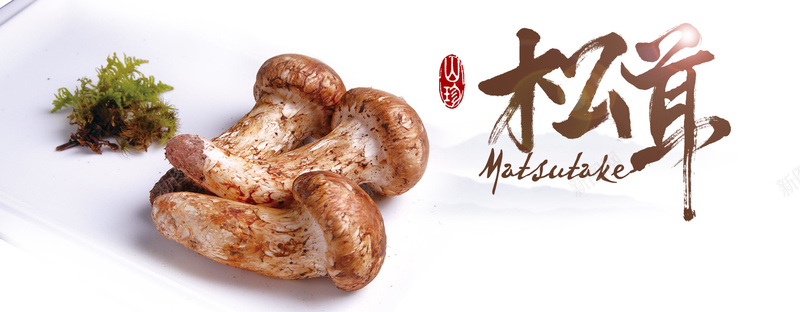 美食松茸背景psd设计背景_新图网 https://ixintu.com 中国风 松茸 海报banner 白色 美食 背景 野生 食品