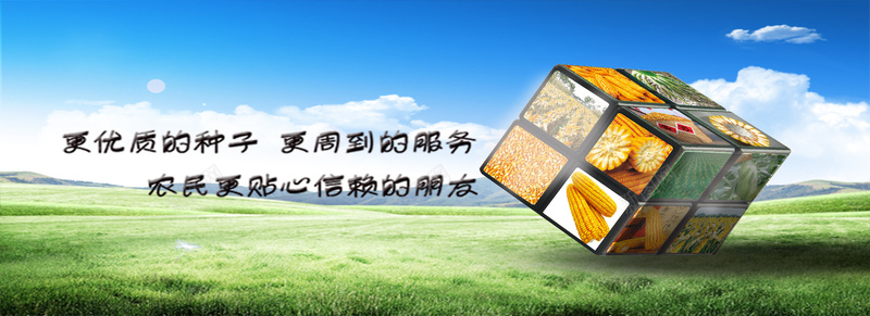 农资种子psd设计背景_新图网 https://ixintu.com 农业 农资种子 海报banner