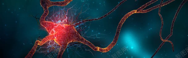 细菌生物化学海报背景图jpg设计背景_新图网 https://ixintu.com 化妆品 天猫背景 女装 家电器械 摄影图片 活动背景 海报图 海报素材 淘宝背景 生物 男装