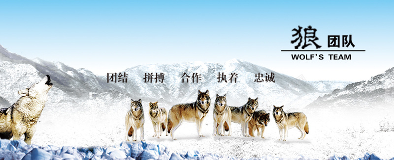 狼团队雪山背景图jpg设计背景_新图网 https://ixintu.com 合作 团队 头狼 海报banner 狼 白色 雪山