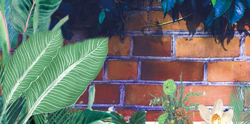 清新绿色树叶植物红色砖墙风景摄影psd_新图网 https://ixintu.com 摄影 树叶 植物 清新 砖墙 红色 绿色 绿色植物 风景 风景摄影