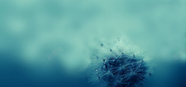 小清新清爽简约背景jpg设计背景_新图网 https://ixintu.com 小清新清爽绿色简约背景