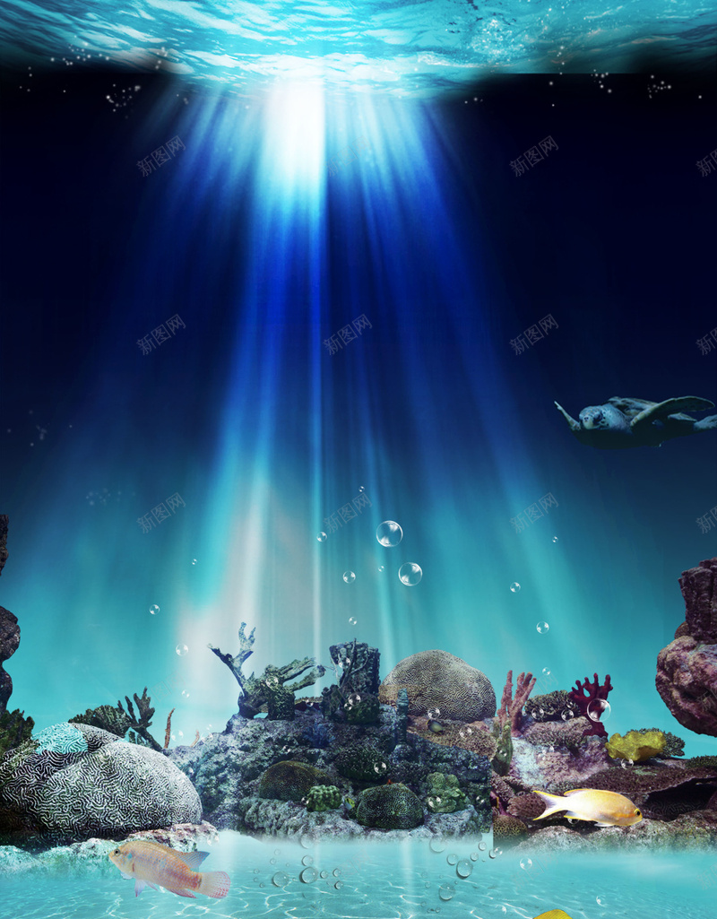 海底世界水族馆宣传海报背景psd设计背景_新图网 https://ixintu.com 广告设计 开心 水族馆 水族馆产品 水族馆宣传单 水族馆展览 海底世界 海底水族馆 海报背景 热带鱼