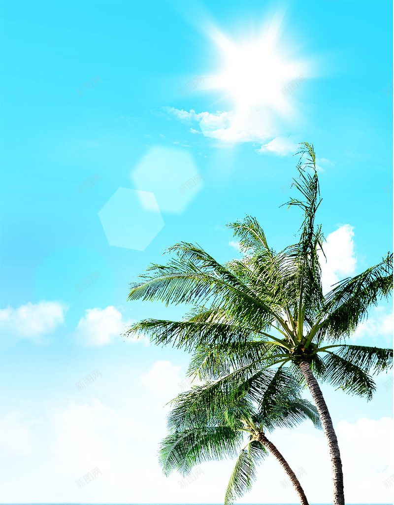 清新自然风景psd分层H5背景psd设计背景_新图网 https://ixintu.com H5背景 椰子树 沙滩 海边 清新 自然 蓝色 风景