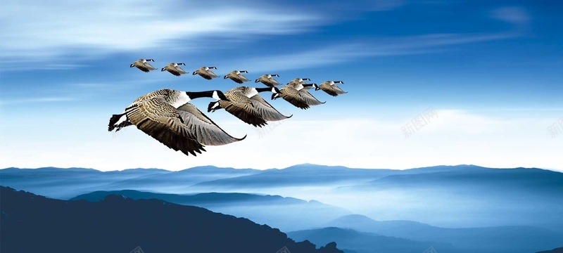 大雁人字psd设计背景_新图网 https://ixintu.com 人字 团队 大雁 水墨 海报banner 远山 飞行