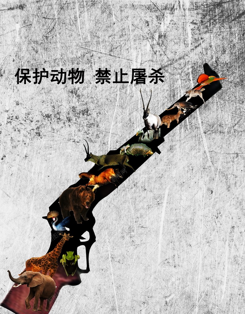 保护动物背景psd设计背景_新图网 https://ixintu.com 保护 动物 海报 猎枪 背景