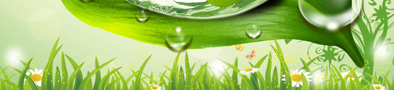 清新绿叶水珠化妆品平面广告jpg设计背景_新图网 https://ixintu.com 化妆品 平面广告 新品 春季 水珠 清新背景 绿叶 补水 面膜