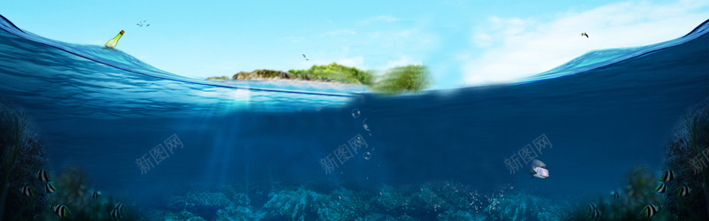 夏日psd_新图网 https://ixintu.com 小岛 摄影 水 海报banner 海水 海鸥 漂流瓶 热带鱼 珊瑚 风景