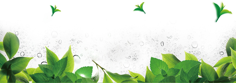 清新背景psd设计背景_新图网 https://ixintu.com 化妆品海报 唯美 水滴 海报banner 激情 狂欢 节日促销 薄荷叶