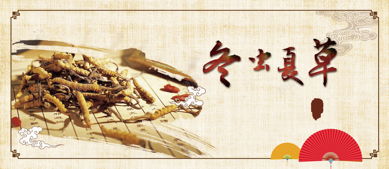 冬虫夏草药材背景psd设计背景_新图网 https://ixintu.com 中国风 中药 冬虫夏草 古典 扇子 温暖 药材
