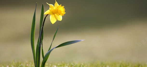 小清新简约清爽背景jpg设计背景_新图网 https://ixintu.com 清新 清爽 简约 背景