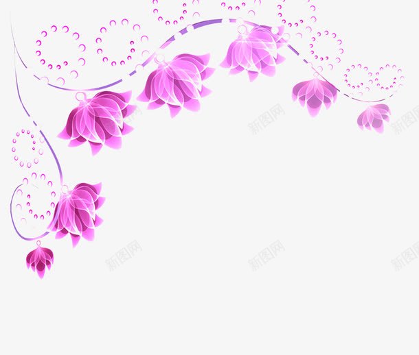 郁金香的边框图片素材png免抠素材_新图网 https://ixintu.com 郁金香 花朵 花卉 花框 边框 装饰 图片边框