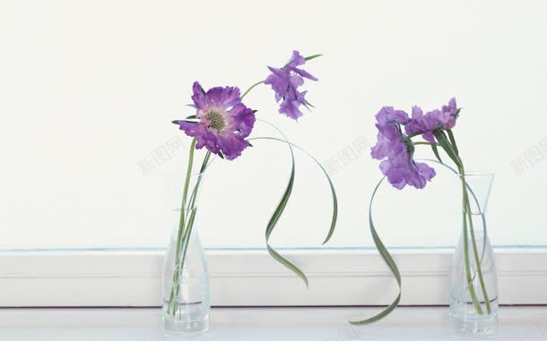 深紫色小花绿叶装饰jpg设计背景_新图网 https://ixintu.com 紫色 绿叶 装饰