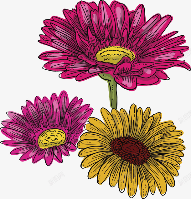 彩色春天小雏菊花束矢量图ai免抠素材_新图网 https://ixintu.com daisy 彩色雏菊 春天 春花 矢量png 矢量图 雏菊 雏菊花束