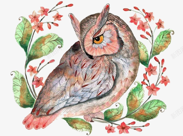 水彩手绘猫头鹰插画png免抠素材_新图网 https://ixintu.com 手绘猫头鹰 插画 植物 水彩手绘
