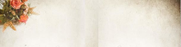 纹理花朵背景bannerjpg设计背景_新图网 https://ixintu.com 端庄 纹理