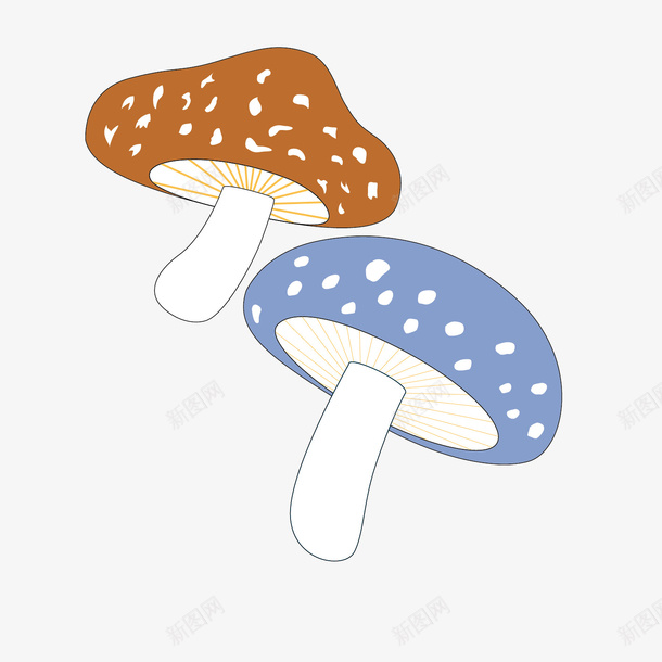 手绘卡通蘑菇食材矢量图ai免抠素材_新图网 https://ixintu.com 卡通设计 手绘香菇 野生香菇 食材设计 香菇炒肉 香菇美食 香菇面 矢量图