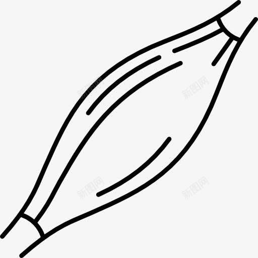 人体肌肉图标png_新图网 https://ixintu.com 人 人体解剖学 医疗 肌肉
