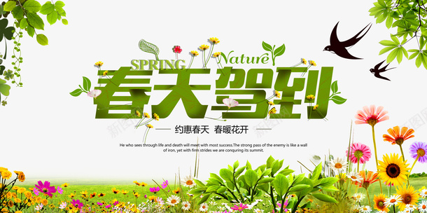 春天绿植花草png免抠素材_新图网 https://ixintu.com 春天 素材 绿植 花草