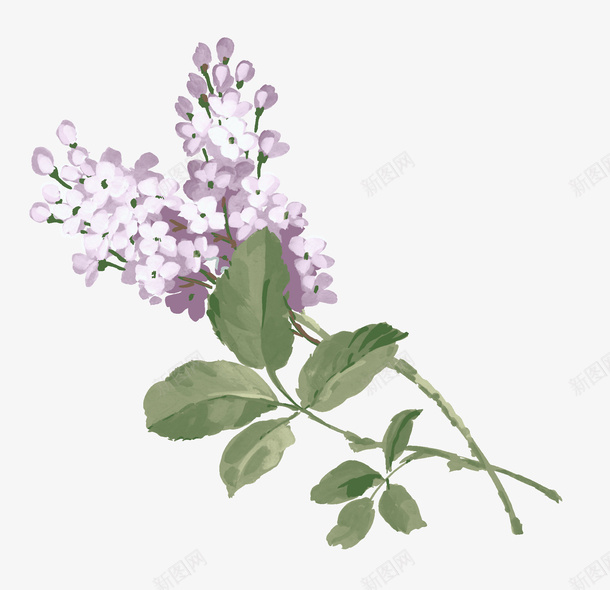 淡紫色的花朵png免抠素材_新图网 https://ixintu.com PNG图形 叶子 树叶 淡紫色 绿叶 花朵 装饰