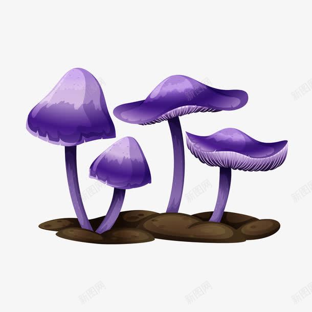 卡通精美蘑菇png免抠素材_新图网 https://ixintu.com 卡通 精美 蘑菇