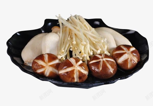 菌菇拼盘香菇金针菇杏鲍菇png免抠素材_新图网 https://ixintu.com 拼盘 杏鲍菇 茶树菇 菌类 菌类拼盘 菌菇 菌菇拼盘 蘑菇 蟹味菇 金针菇 香菇