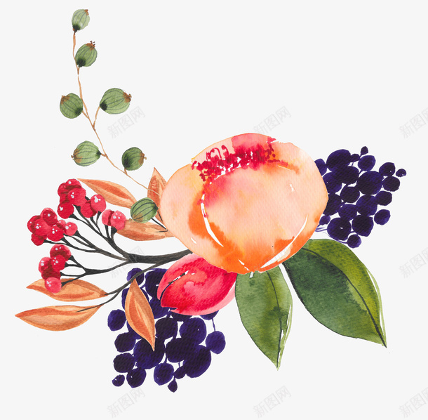 彩色手绘的花朵装饰png免抠素材_新图网 https://ixintu.com 卡通手绘 叶子 彩色花朵 绿叶 花卉 花朵 装饰图