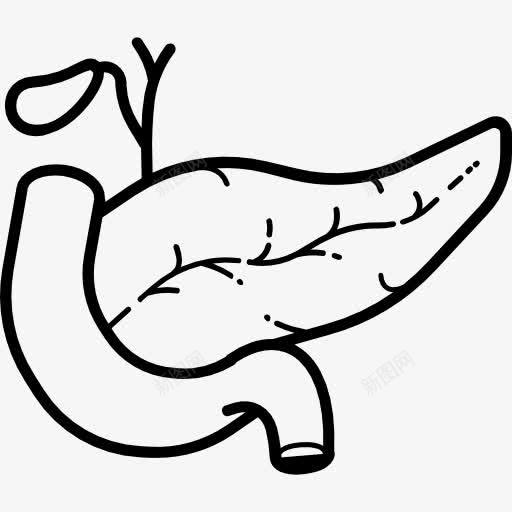 胰腺图标png_新图网 https://ixintu.com 保健和医疗 医疗 器官 胰腺 解剖 身体的一部分