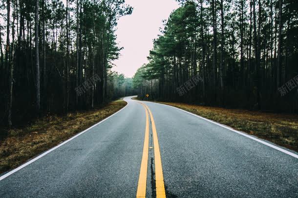 道路自然树林jpg设计背景_新图网 https://ixintu.com 树林 自然 道路