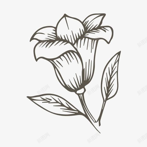 手绘简笔画花朵png免抠素材_新图网 https://ixintu.com 单只花朵 手绘 清新 白描 简笔画 素描 花 花朵写生