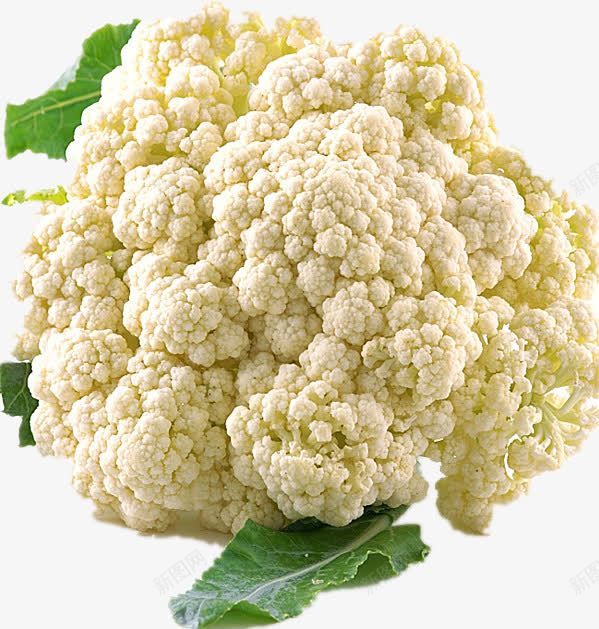 新鲜的花椰菜png免抠素材_新图网 https://ixintu.com 产品实物 白色 美味 蔬菜