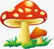 手绘红色卡通蘑菇艺术png免抠素材_新图网 https://ixintu.com 卡通 红色 艺术 蘑菇