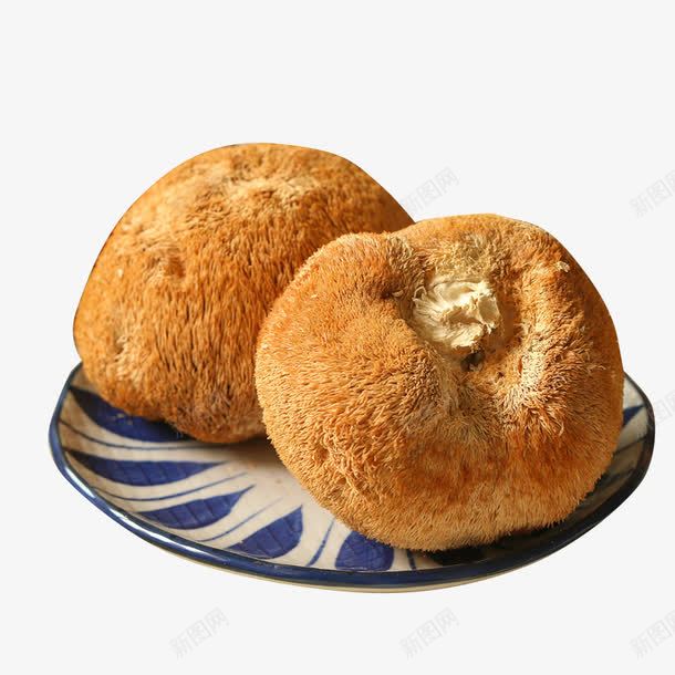 大颗的猴头菇png免抠素材_新图网 https://ixintu.com 产品实物 菌类 食材 饱满 黄色