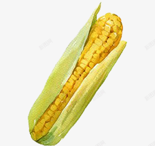 手绘水彩切好的蔬菜玉米png免抠素材_新图网 https://ixintu.com 切好的蔬菜 手绘蔬菜 有机蔬菜 果蔬 绿色蔬菜 茄子 蔬菜