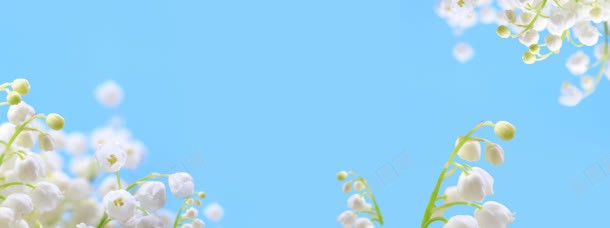 简约清新淘宝广告bannerjpg设计背景_新图网 https://ixintu.com 广告 海报PSD源文件 淘宝bann 淘宝广告banner 淘宝界面设计 淘宝素材 淘宝背景图 设计