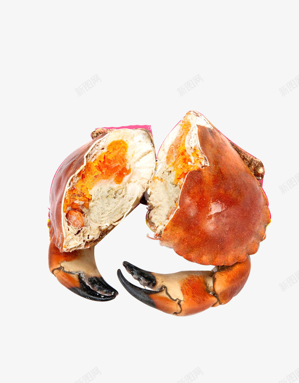 大闸蟹蟹腿png免抠素材_新图网 https://ixintu.com png图片 大闸蟹 肉食 营养 蟹腿