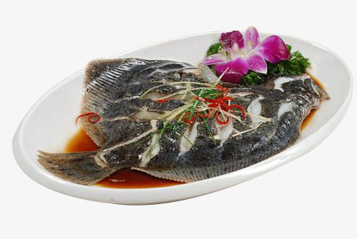 多宝鱼png免抠素材_新图网 https://ixintu.com 动物 多宝鱼 素材 食物