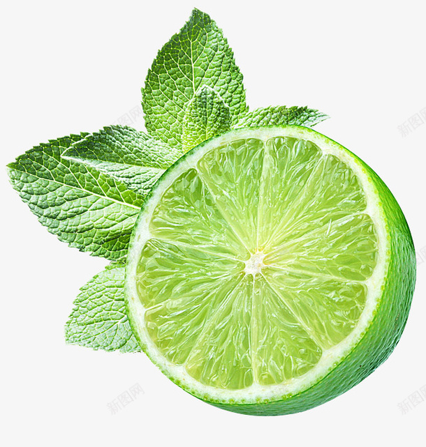 薄荷青柠檬水果png免抠素材_新图网 https://ixintu.com 夏日美食 柠檬 水果 绿色 薄荷 青