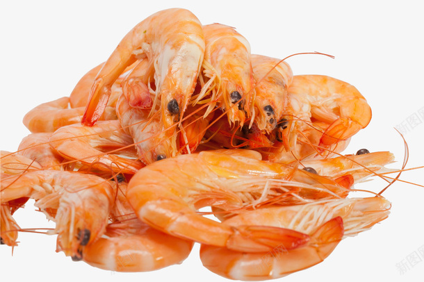 简单朴素美食红虾仁图png免抠素材_新图网 https://ixintu.com 红色 红虾仁 美味营养 美食 虾仁 虾壳 虾须