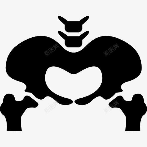 骨盆骨的轮廓图标png_新图网 https://ixintu.com 医疗 盆腔区 骨 骨X片 骨盆