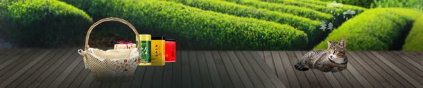 春茶节bannerjpg设计背景_新图网 https://ixintu.com banner 春茶 设计