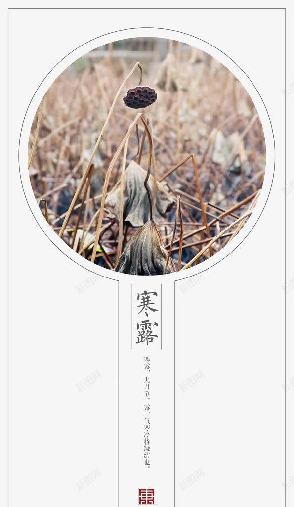 24节气寒露png免抠素材_新图网 https://ixintu.com 24节气 二十四 寒露 节气