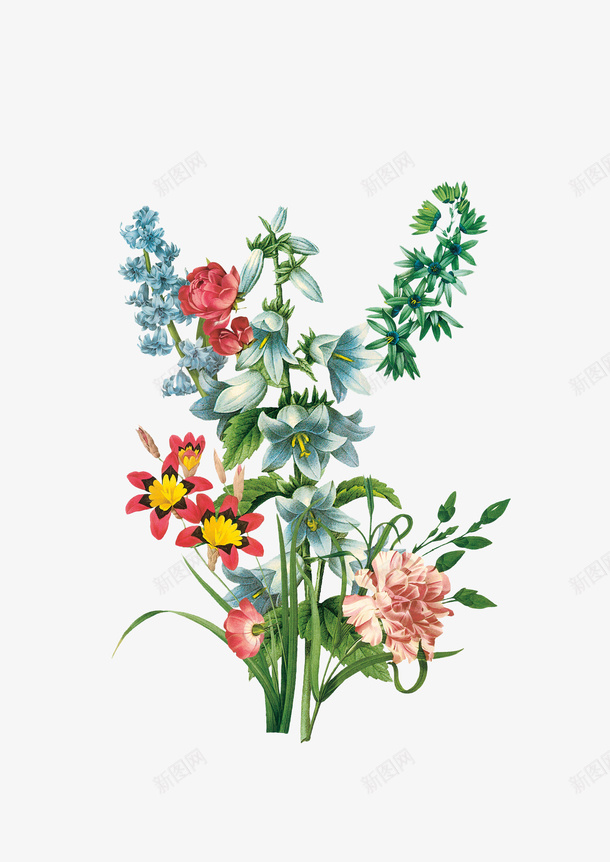群花手绘鲜花组合png免抠素材_新图网 https://ixintu.com 手绘叶子 手绘花朵 插画植物 鲜花