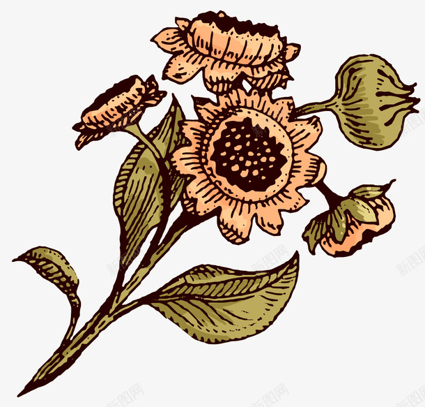 卡通复古水彩黄色花朵png免抠素材_新图网 https://ixintu.com 卡通花朵 复古 复古花朵 手绘鲜花 果实 植物 水彩 水彩花朵 花卉 花朵 鲜花 黄色花朵