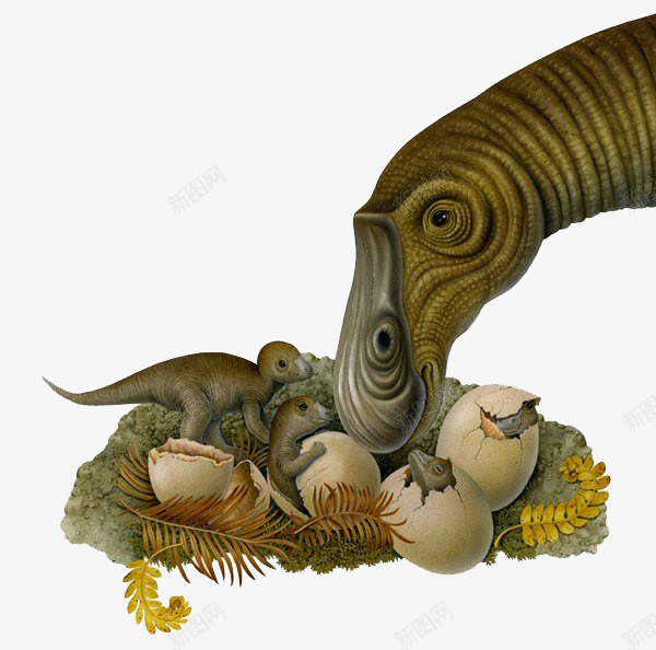 简约恐龙蛋插画psd免抠素材_新图网 https://ixintu.com 恐龙蛋 插画 简约 装饰