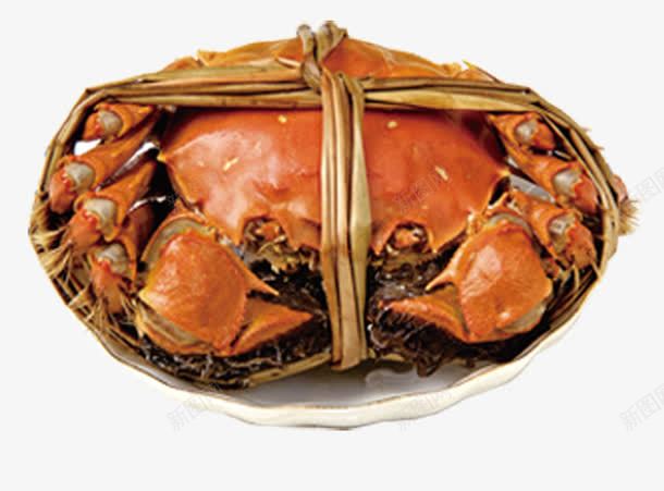 清蒸大闸蟹png免抠素材_新图网 https://ixintu.com 大闸蟹 美味 美味大闸蟹 饮食