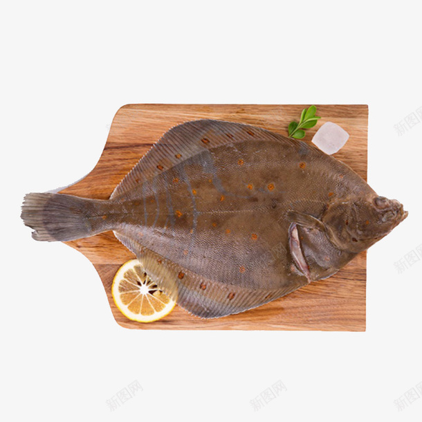 多宝鱼png免抠素材_新图网 https://ixintu.com 动物 多宝鱼 素材 食物